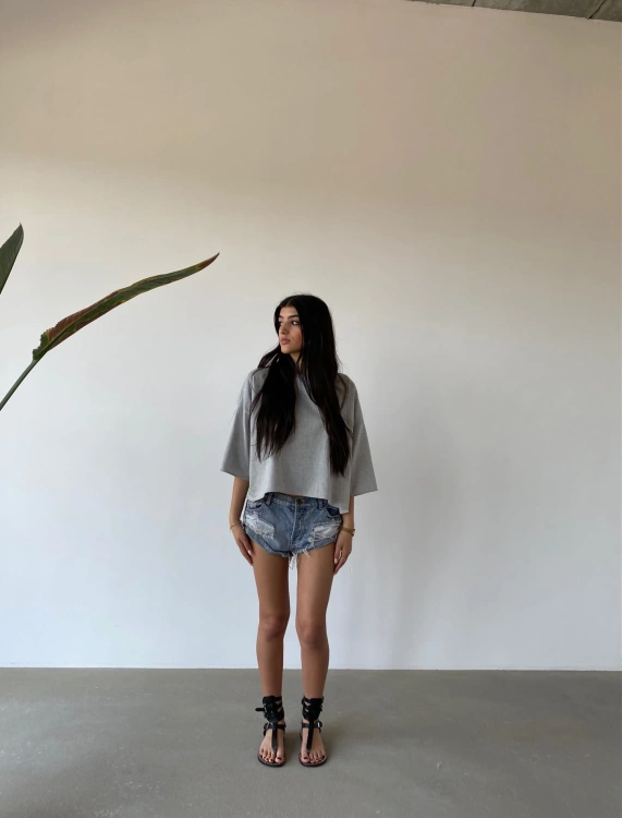 crop top grey.jpg